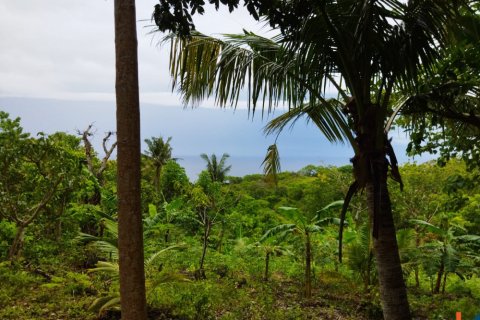 Land in Klungkung, Indonesia No. 11633 3