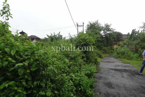 1400m2 Land in South Kuta, Badung, Indonesia No. 7909 6