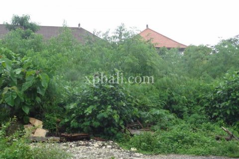 1400m2 Land in South Kuta, Badung, Indonesia No. 7909 7