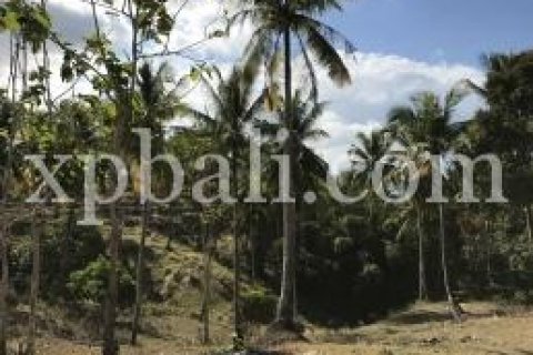 21700m2 Land in Indonesia No. 7910
