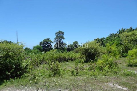 Земельный участок 784м2 в Nusa Dua, Бадунг, Индонезия № 383 1