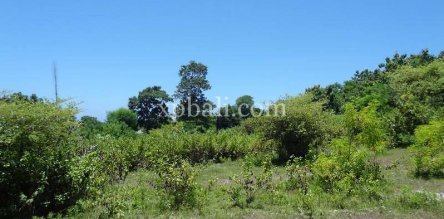 Земельный участок 784м2 в Nusa Dua, Бадунг, Индонезия № 383