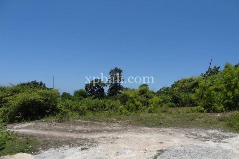 Земельный участок 784м2 в Nusa Dua, Бадунг, Индонезия № 383 7
