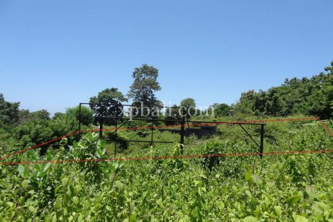Земельный участок 784м2 в Nusa Dua, Бадунг, Индонезия № 383 6
