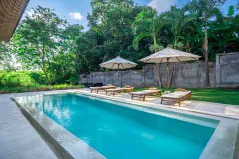 5 bedrooms Villa in Canggu, Badung, Indonesia No. 9063 4