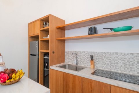 2 bedrooms Villa in Ubud, Gianyar, Indonesia No. 9065 9
