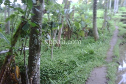 900m2 Land in Gianyar, Indonesia No. 13361