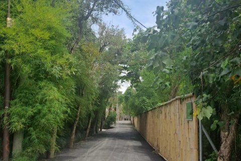 Земельный участок 3248м2 в Canggu, Бадунг, Индонезия № 9362 8