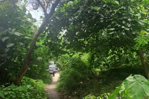 Земельный участок 3248м2 в Canggu, Бадунг, Индонезия № 9362 6