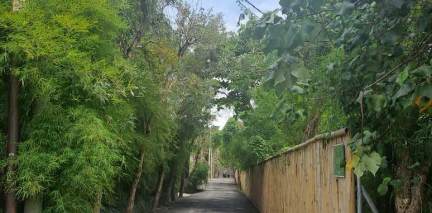 1080m2 Land in Canggu, Badung, Indonesia No. 9361