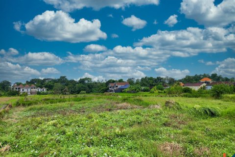 Land in Kediri, Indonesia No. 10624 5