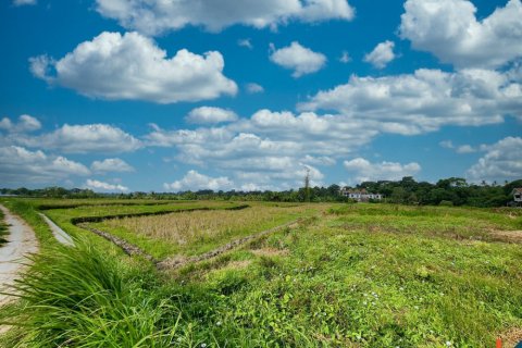 Land in Kediri, Indonesia No. 10624 3