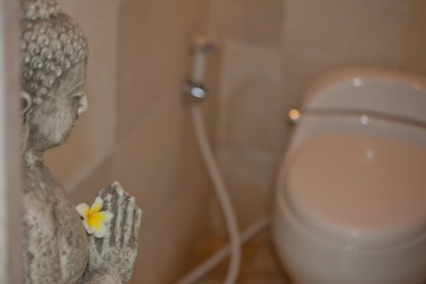 1 bedroom Villa in Canggu, Badung, Indonesia No. 1763 13