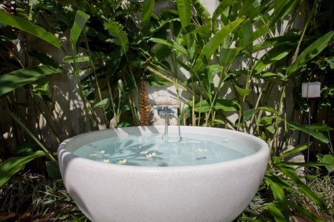 1 bedroom Villa in Canggu, Badung, Indonesia No. 1763 4
