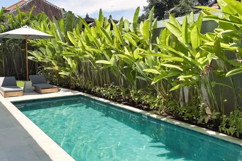 4 bedrooms Villa in Tabanan, Indonesia No. 10779 3