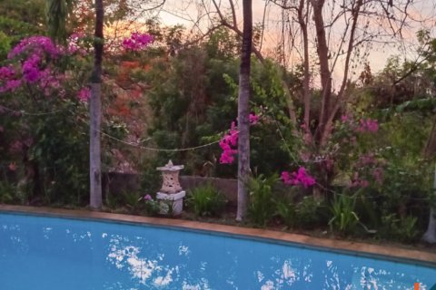 6 bedrooms Villa in Lovina, Anturan, Buleleng, Indonesia No. 11317 7