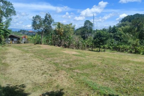 Land in Tabanan, Indonesia No. 11285