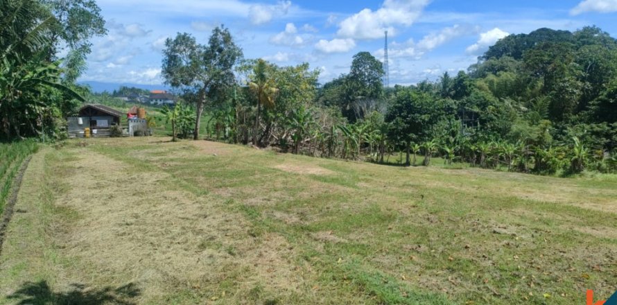Land in Tabanan, Indonesia No. 11285