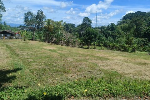 Land in Tabanan, Indonesia No. 11285 4