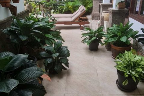 Вилла с 3 спальнями в Nusa Dua, Бадунг, Индонезия № 251 16