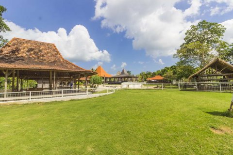Villa in Canggu, Badung, Indonesia No. 253 2