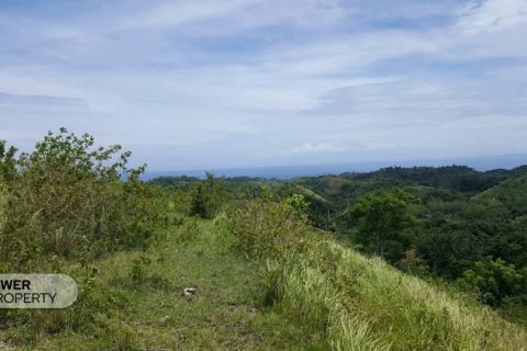 500m2 Land in Nusa Penida, Klungkung, Indonesia No. 13343 3