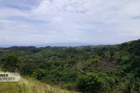 500m2 Land in Nusa Penida, Klungkung, Indonesia No. 13343 4