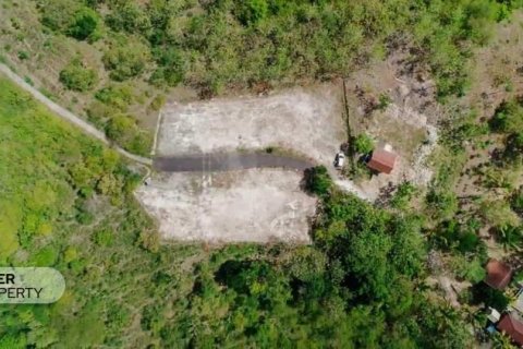 330m2 Land in Nusa Penida, Klungkung, Indonesia No. 13341