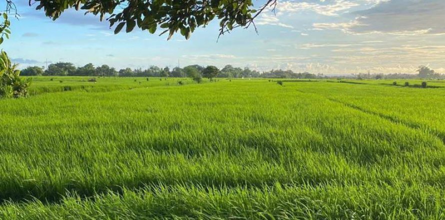 260m2 Land in Tabanan, Indonesia No. 13346