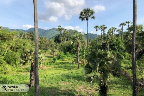 1000m2 Land in Karangasem, Karang Asem, Indonesia No. 13344