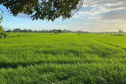 205m2 Land in Tabanan, Indonesia No. 13345