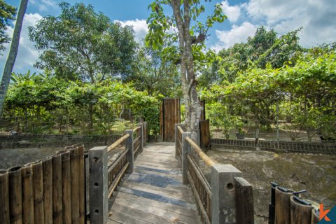 6 bedrooms Villa in Tumbak Bayuh, Mengwi, Badung, Indonesia No. 10958 6