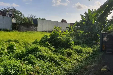 Land in Kerobokan, Badung, Indonesia No. 10959 3
