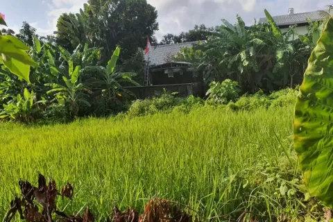 Land in Kerobokan, Badung, Indonesia No. 10959