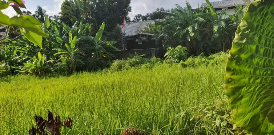 Land in Kerobokan, Badung, Indonesia No. 10959