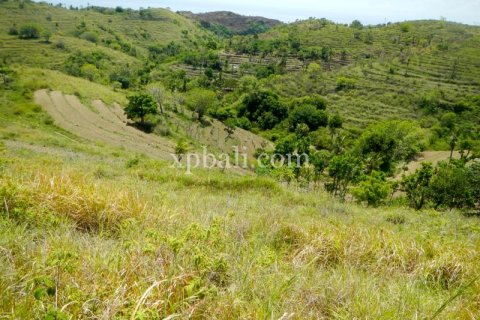 40470m2 Land in Nusa Penida, Klungkung, Indonesia No. 514 2