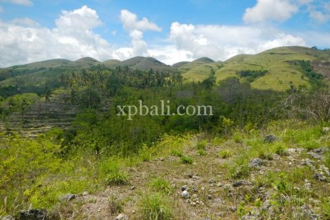 40470m2 Land in Nusa Penida, Klungkung, Indonesia No. 514