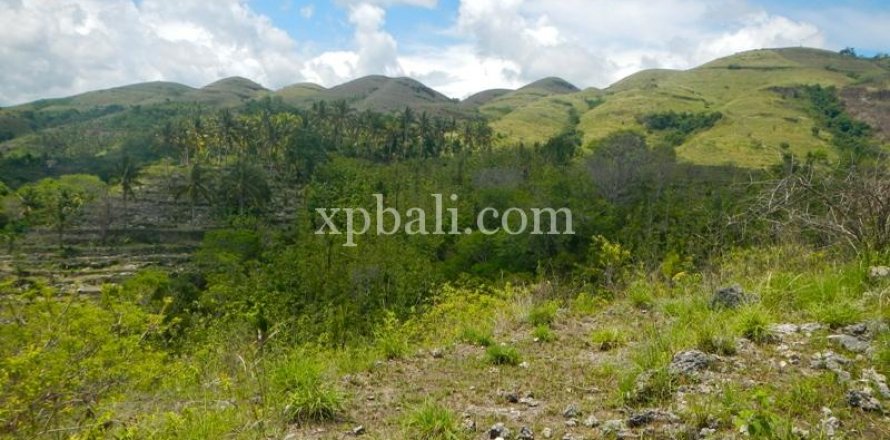 40470m2 Land in Nusa Penida, Klungkung, Indonesia No. 514