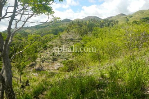 40470m2 Land in Nusa Penida, Klungkung, Indonesia No. 514 7