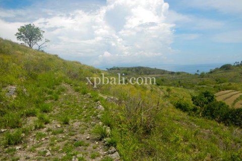 40470m2 Land in Nusa Penida, Klungkung, Indonesia No. 514 6
