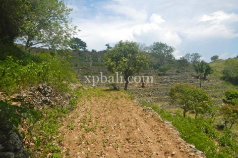 40470m2 Land in Nusa Penida, Klungkung, Indonesia No. 514 4