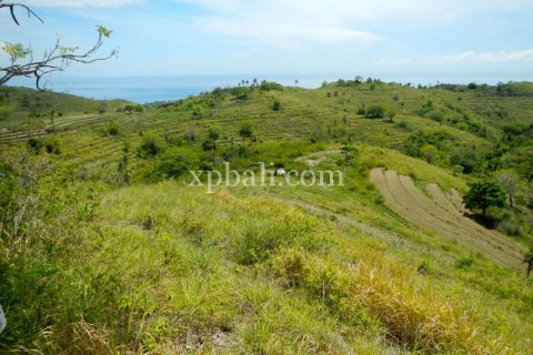 40470m2 Land in Nusa Penida, Klungkung, Indonesia No. 514 3