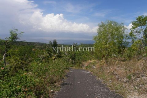 Земельный участок 13500м2 в Nusa Penida, Клунгкунг, Индонезия № 513 4
