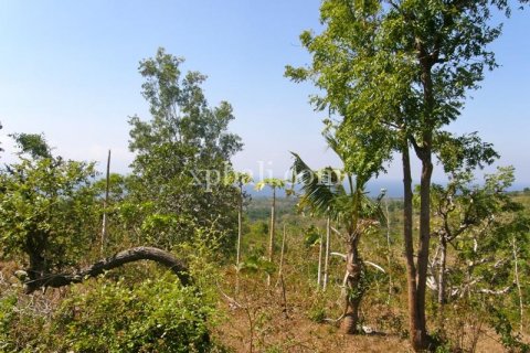 Земельный участок 13500м2 в Nusa Penida, Клунгкунг, Индонезия № 513 3