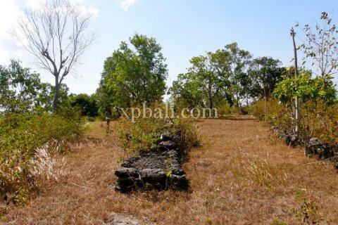 13500m2 Land in Nusa Penida, Klungkung, Indonesia No. 513
