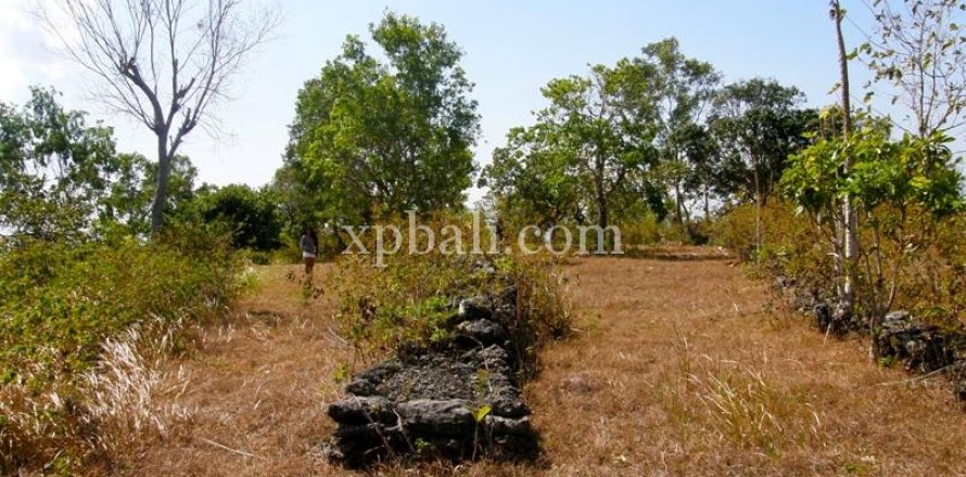Земельный участок 13500м2 в Nusa Penida, Клунгкунг, Индонезия № 513