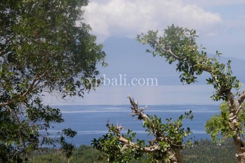 Земельный участок 13500м2 в Nusa Penida, Клунгкунг, Индонезия № 513 5