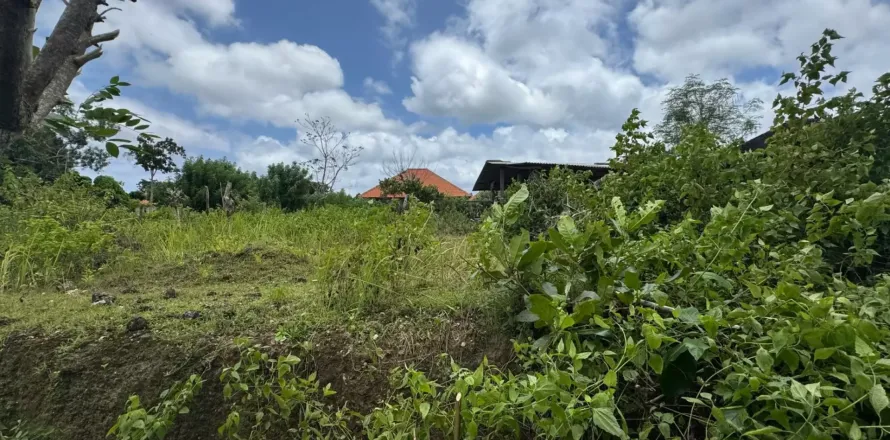 Land in Kuta, Badung, Indonesia No. 10933