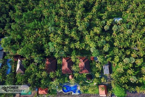 9 bedrooms Villa in Lovina, Anturan, Buleleng, Indonesia No. 7757 21