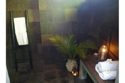 4 bedrooms Villa in Seminyak, Badung, Indonesia No. 1396 14